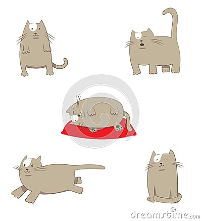 Funny stylized cartoon grey Cat in different poses Vector Illustration