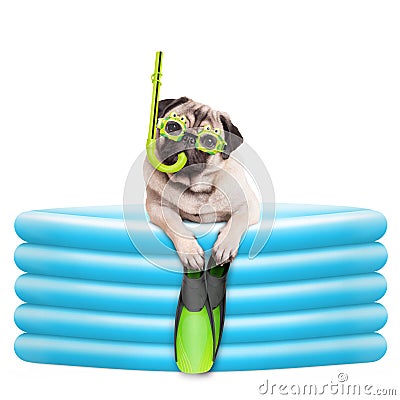 Funny summerly pug dog with goggles, snorkel and flippers in inflatable pool Stock Photo