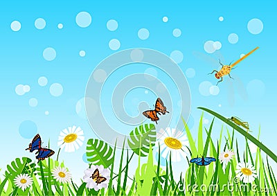 Funny sunny summer grassland with insects Vector Illustration