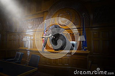 Funny Surreal Elephant Judge, Lawyer, Courtroom, Law Stock Photo
