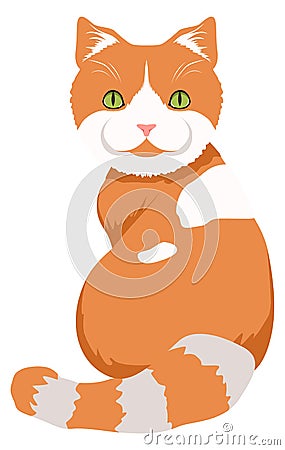 Funny tabby cat. Ginger pet. Fluffy animal Stock Photo