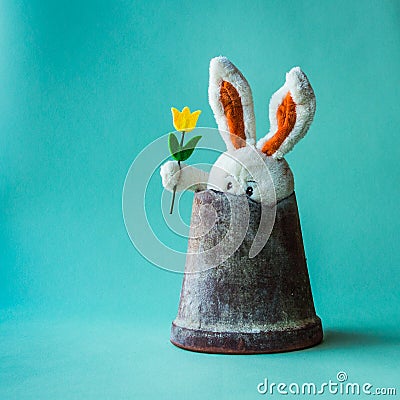 Funny teddy rabbit with tulip sitting in a broken flower pot. Stock Photo