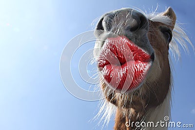 Funny thank you kiss card with animals Stock Photo