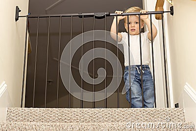 Funny toddler approaching safety gate of stairs Stock Photo