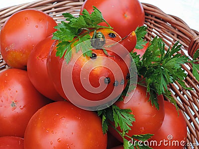 Funny tomato in a wicker basket and parsley leaves Stock Photo