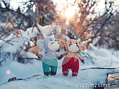 Funny toy bulls stand in winter and hold a heart in their paws Stock Photo