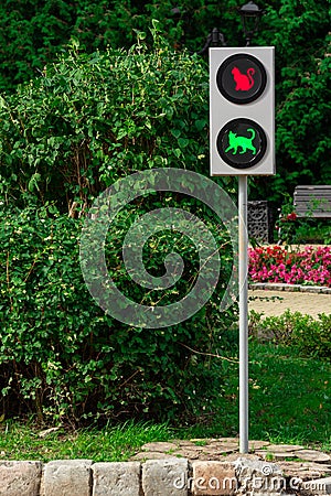 Funny traffic light for cats Stock Photo
