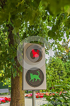 Funny Traffic light Stock Photo