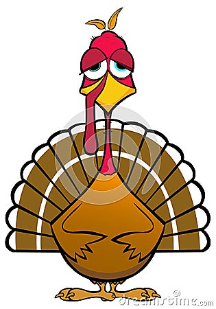 Funny Turkey Stock Photo