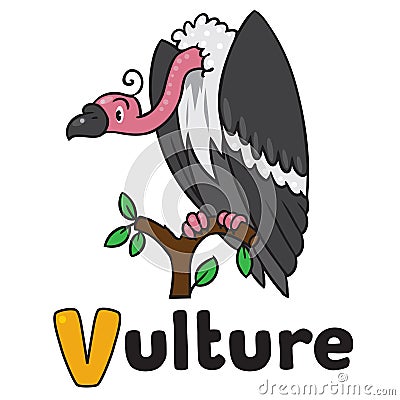 Funny vulture, illustration for ABC. Alphabet V Vector Illustration