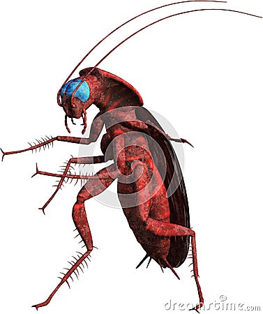Funny Walking Cockroach Inset Isolated Cartoon Illustration