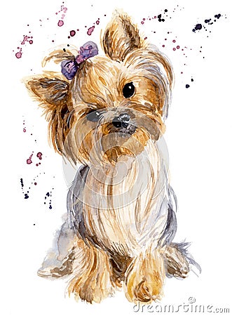 Funny watercolor dog illustration. Yorkshire`s portrait Cartoon Illustration