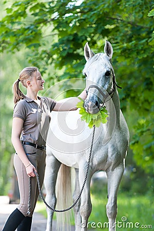 Funny white horse with green maple leaves bouquet in mouth Stock Photo