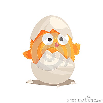 Funny yellow newborn chicken in broken egg shell Vector Illustration