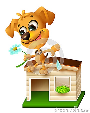 Funny yellow puppy sitting on doghouse and tearing off petal of chamomile Vector Illustration