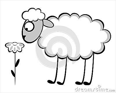 Funny young sheep Stock Photo