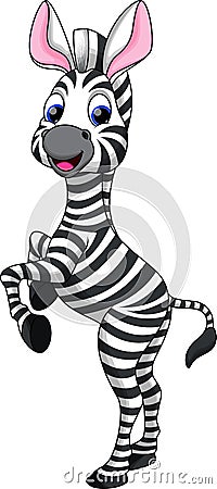 Funny zebra cartoon Stock Photo