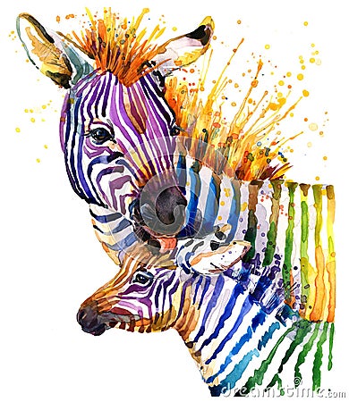 Funny zebra illustration with splash watercolor texture. rainbow background f Cartoon Illustration