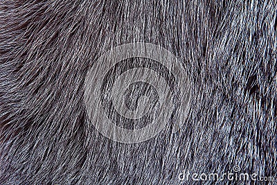 Fur Stock Photo