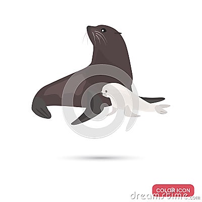 Fur seal and cub color flat icon Vector Illustration