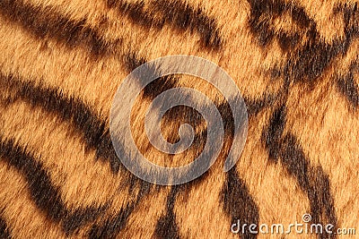 Fur of the tiger Stock Photo