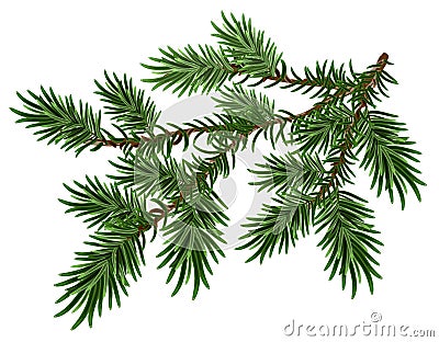 Fur-tree branch. Green fluffy pine branch Vector Illustration
