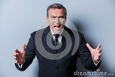 Furious boss. Stock Photo