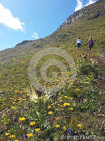 Furkapass, Swiss Alps Editorial Stock Photo