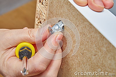 Furniture assembler fixes cam lock nut in furniture. Stock Photo