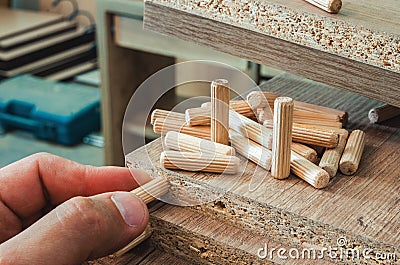 Furniture fittings, wooden dowels, fastener connection on chipboard workpieces, close-up Stock Photo