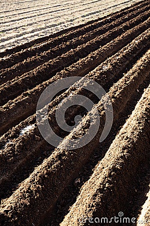 Furrows on ploughed field Stock Photo