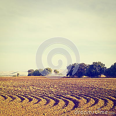 Furrows Stock Photo