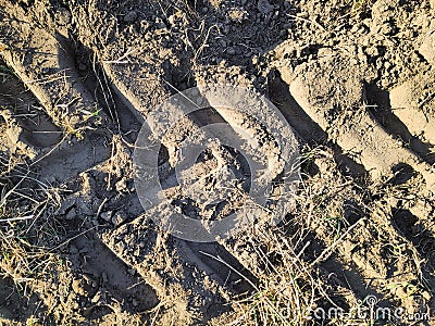 Furrows row in plowed drought field ground prepared for planting crops in meadow in spring. car tread marks, planting process, Stock Photo