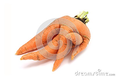 Fused orange carrot Stock Photo