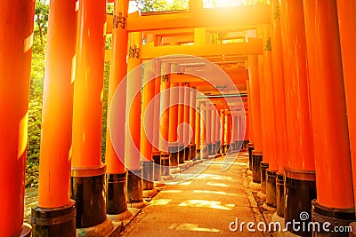 Fushimi Inari Kyoto Stock Photo