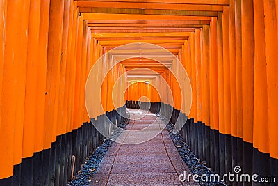 Fushimi Inari Taisha Shrine, the famous down line bright orange Stock Photo