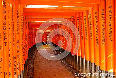 Fushimi Inari Torii gates Editorial Stock Photo