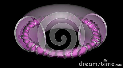 Fusion reactor . Stellarator style . Transparent Solid outer shell. Inner coils with glowing plasma. Sliced front view of outer s Cartoon Illustration