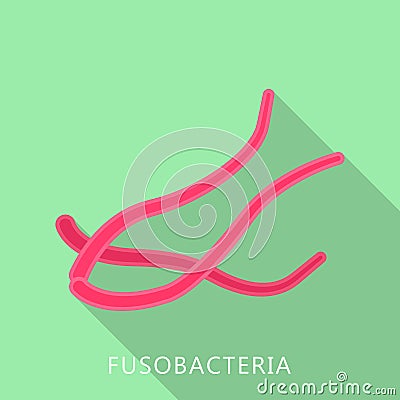 Fusobacteria icon, flat style Vector Illustration