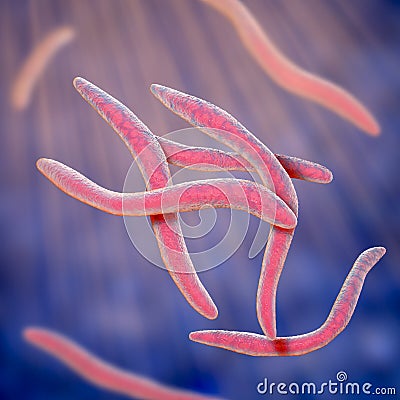 Fusobacterium, 3D illustration. An oral bacterium that causes periodontal diseases Cartoon Illustration