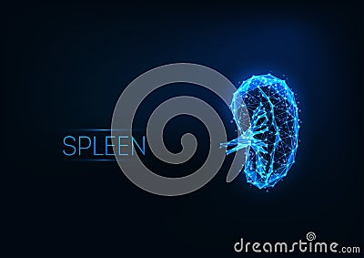 Futuristic glowing low polygonal human spleen hologram isolated on dark blue background. Vector Illustration