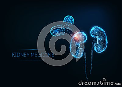 Futuristic kidneys medicine concept with glowing low polygonal human kidneys and capsule pills Vector Illustration