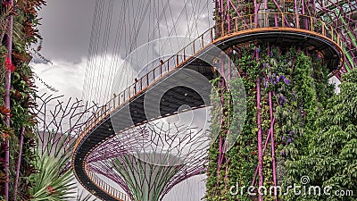 Futuristic view of amazing supertrees at Garden by the Bay timelapse in Singapore. Stock Photo