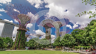 Futuristic view of amazing supertrees at Garden by the Bay timelapse hyperlapse in Singapore. Stock Photo