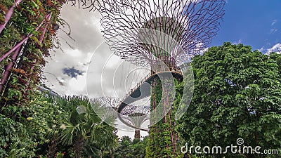 Futuristic view of amazing supertrees at Garden by the Bay timelapse hyperlapse in Singapore. Stock Photo