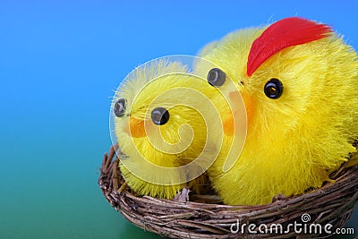 Fuzzy Easter Chicks in Nest Stock Photo
