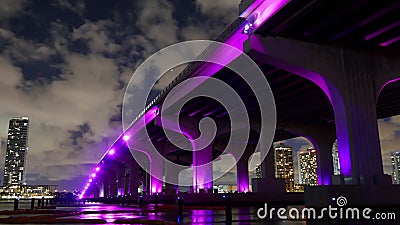 För miami för ljus himmel för natt schackningsperiod för tid för belysning 4k berömd i stadens centrum bro florida USA arkivfilmer För miami för ljus himmel för natt schackningsperiod för tid för belysning 4k berömd i stadens centrum bro florida USA arkivfilmer
