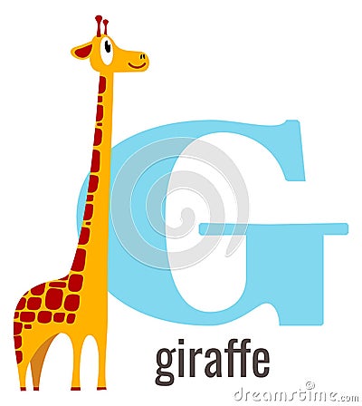 G for giraffe card. English vocabulary alphabet letter Vector Illustration