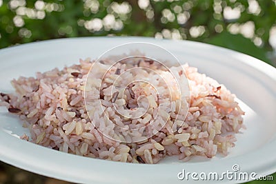 Gaba rice in a dish made of recycled material The background is green lawn Stock Photo