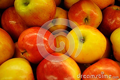 Gala Apples Stock Photo